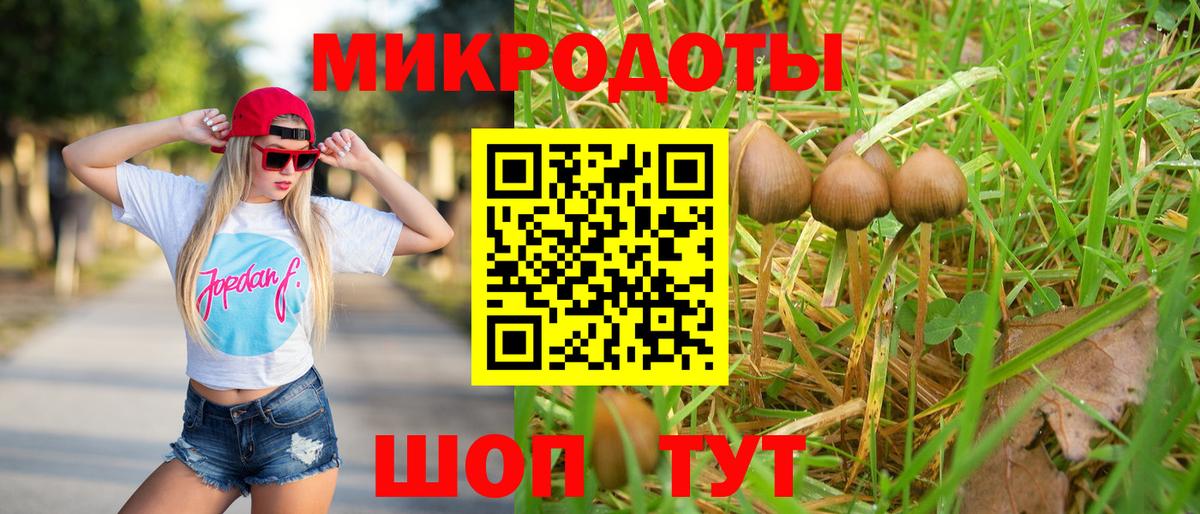 Галлюциногенные грибы Psilocybine cubensis Жуковский