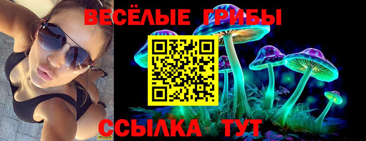 Жуковский  Галлюциногенные грибы мицелий  Вход с VPN 